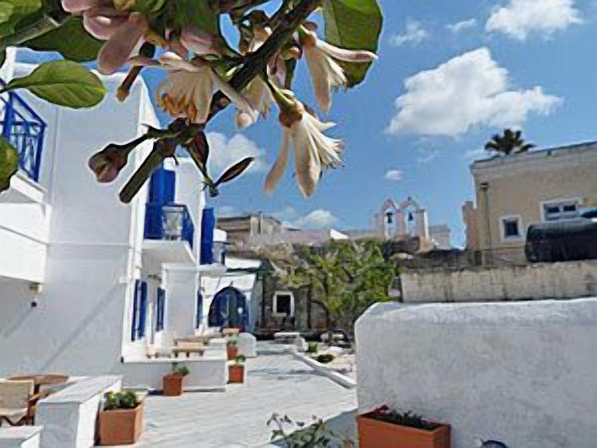 Foto - Captain Manolis