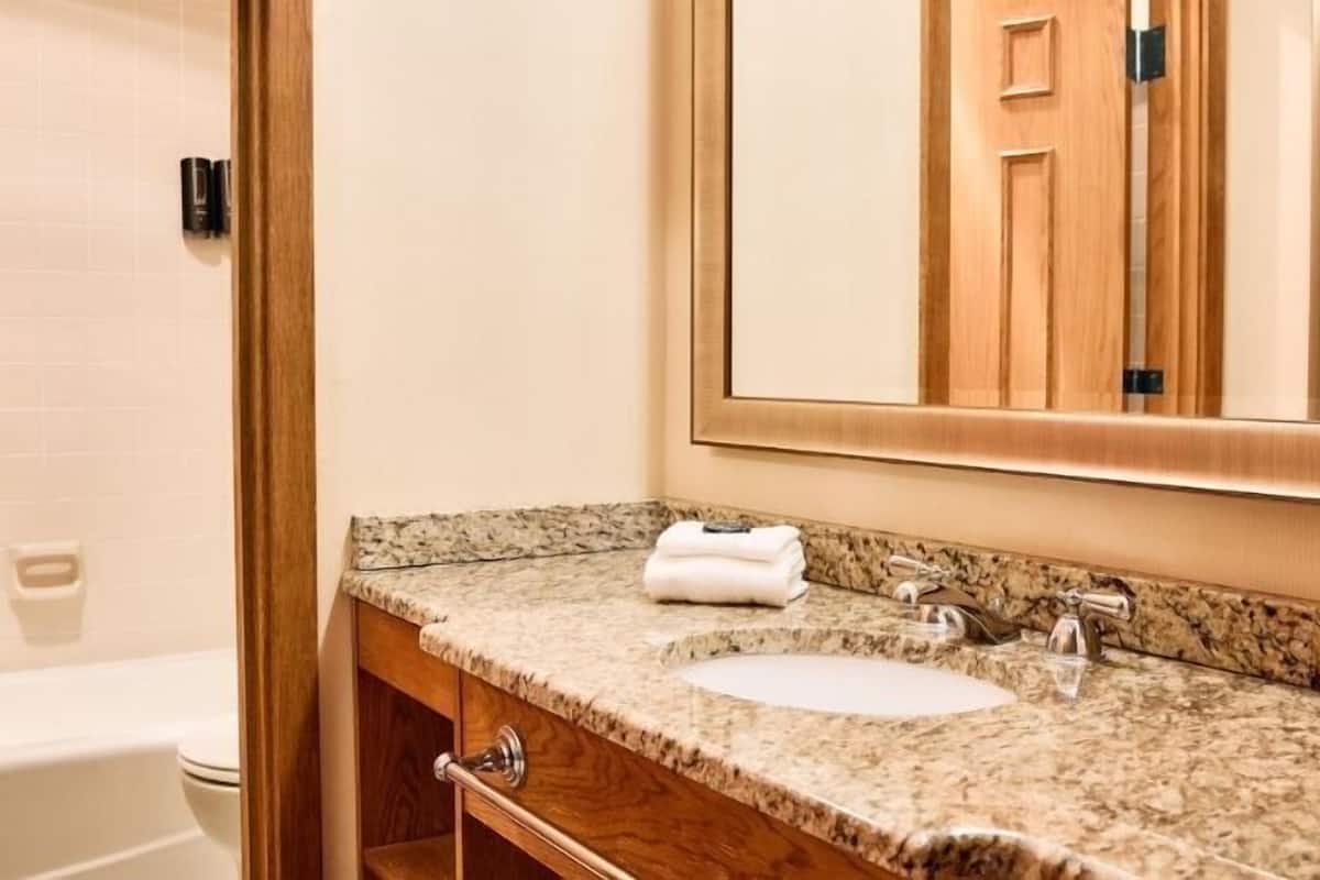Combined shower/tub, free toiletries, hair dryer, towels