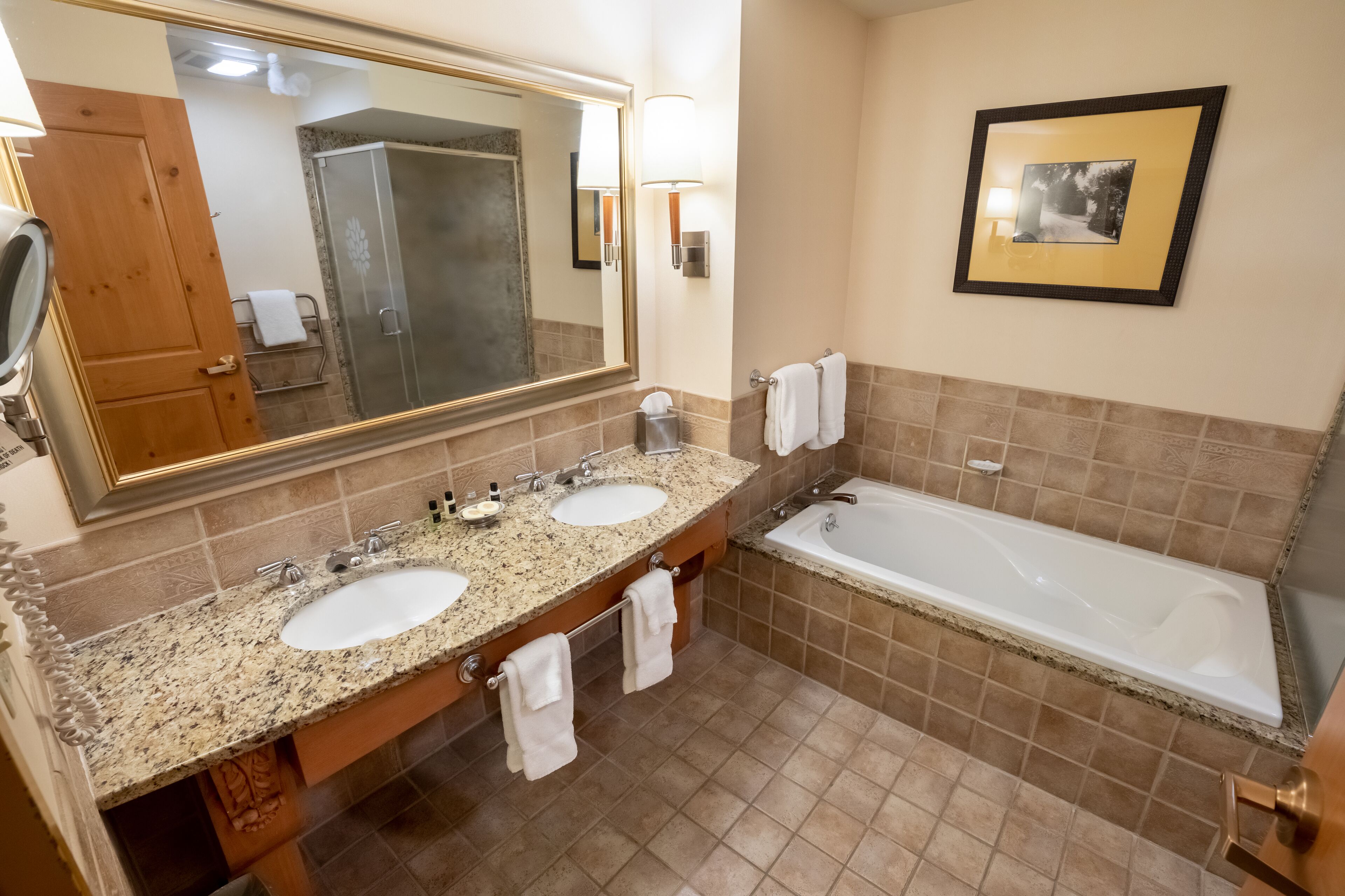 premium room, 1 king bed, accessible, fireplace | bathroom | combined shower/bathtub, free toiletries, hair dryer, towels