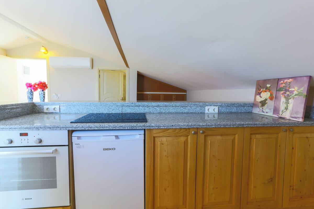 penthouse, terrace | private kitchen | fridge, stovetop, coffee/tea maker, electric kettle