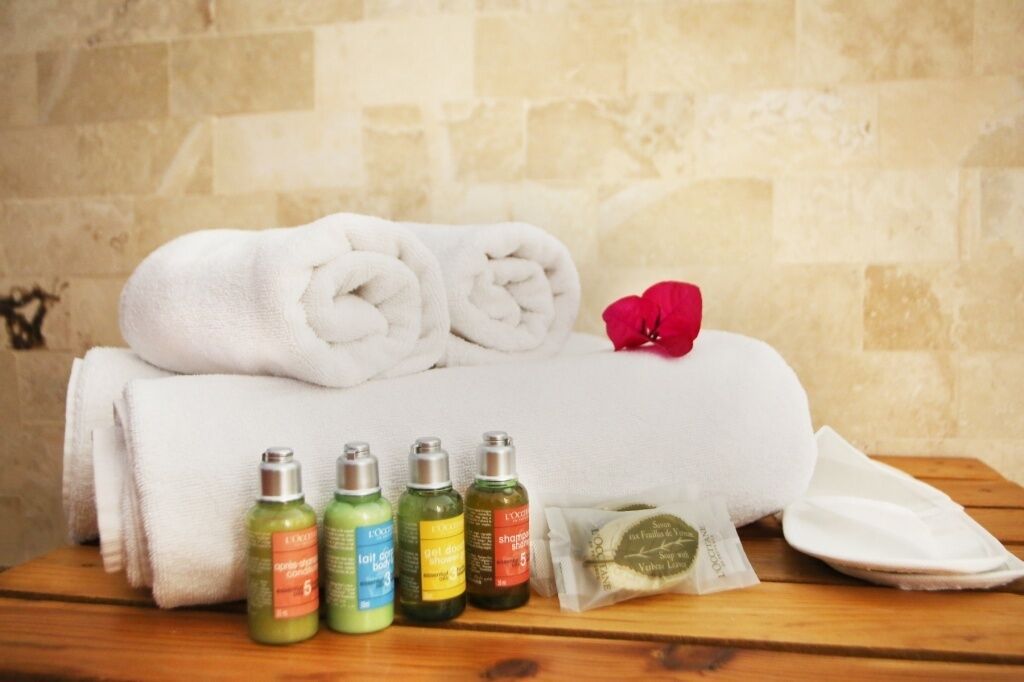 shower, designer toiletries, hair dryer, slippers