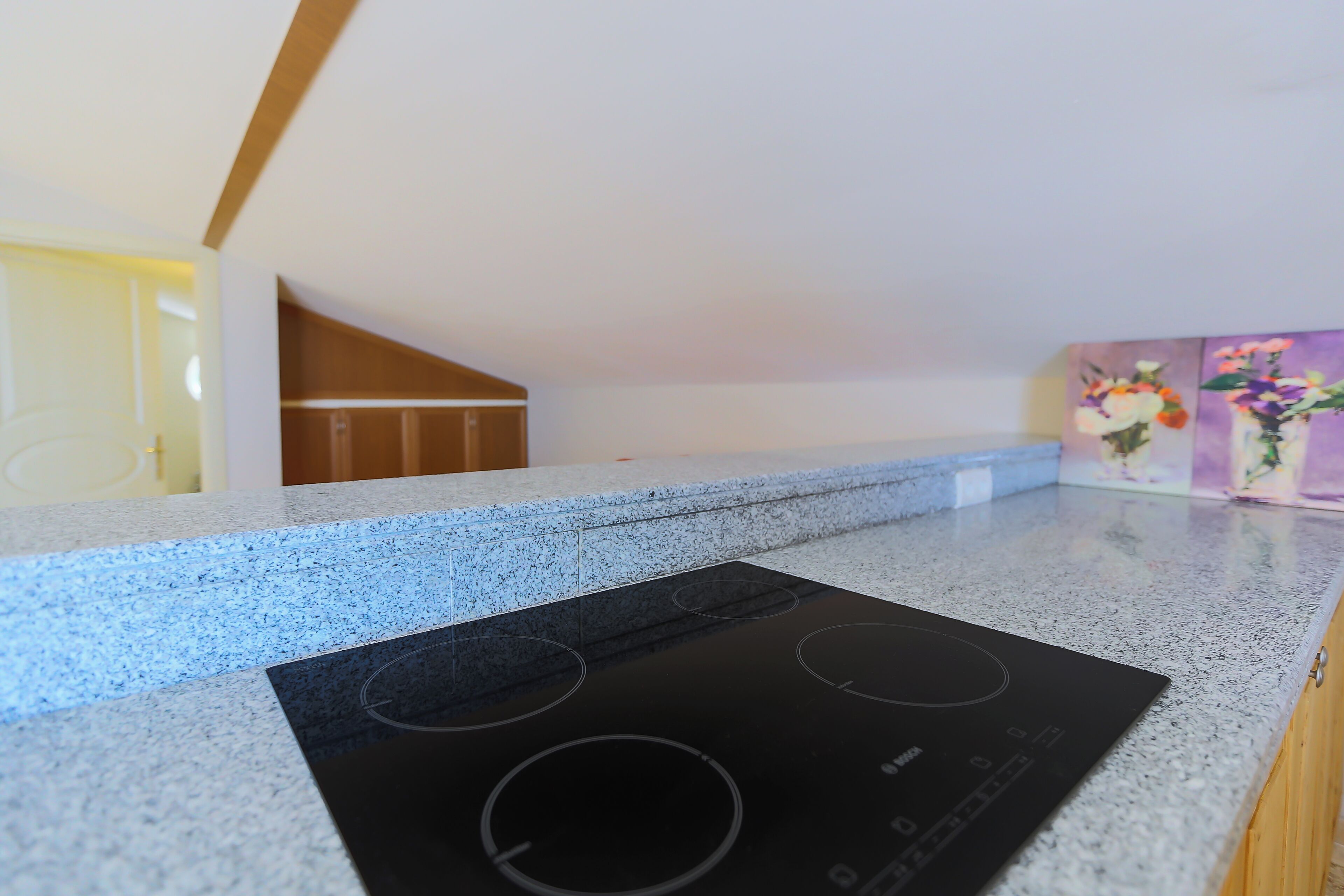 penthouse, terrace | private kitchen | fridge, stovetop, coffee/tea maker, electric kettle