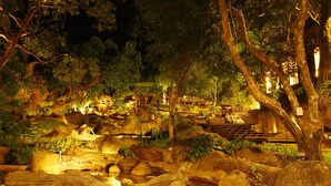 A nighttime outdoor area with illuminated rocks, trees, and a bench.