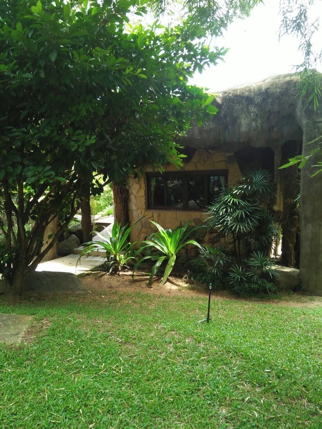 A stone building with a window, surrounded by lush greenery and a grassy area.