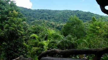 Deluxe Room | Pemandangan dari bilik