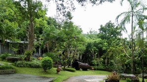 A lush garden with a gravel path, large rocks, and various plants.