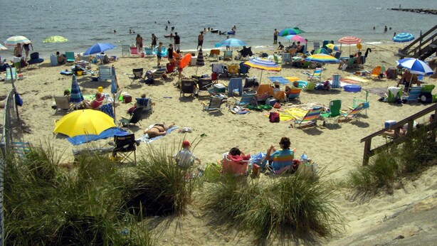 A beach with numerous umbrellas and beach chairs, indicating a popular tourist spot. - Cutty Sark Motor Lodge (Dennis Port)