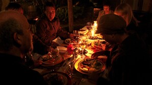 Dining - Bush Pillow Guest House (Otjiwarongo)