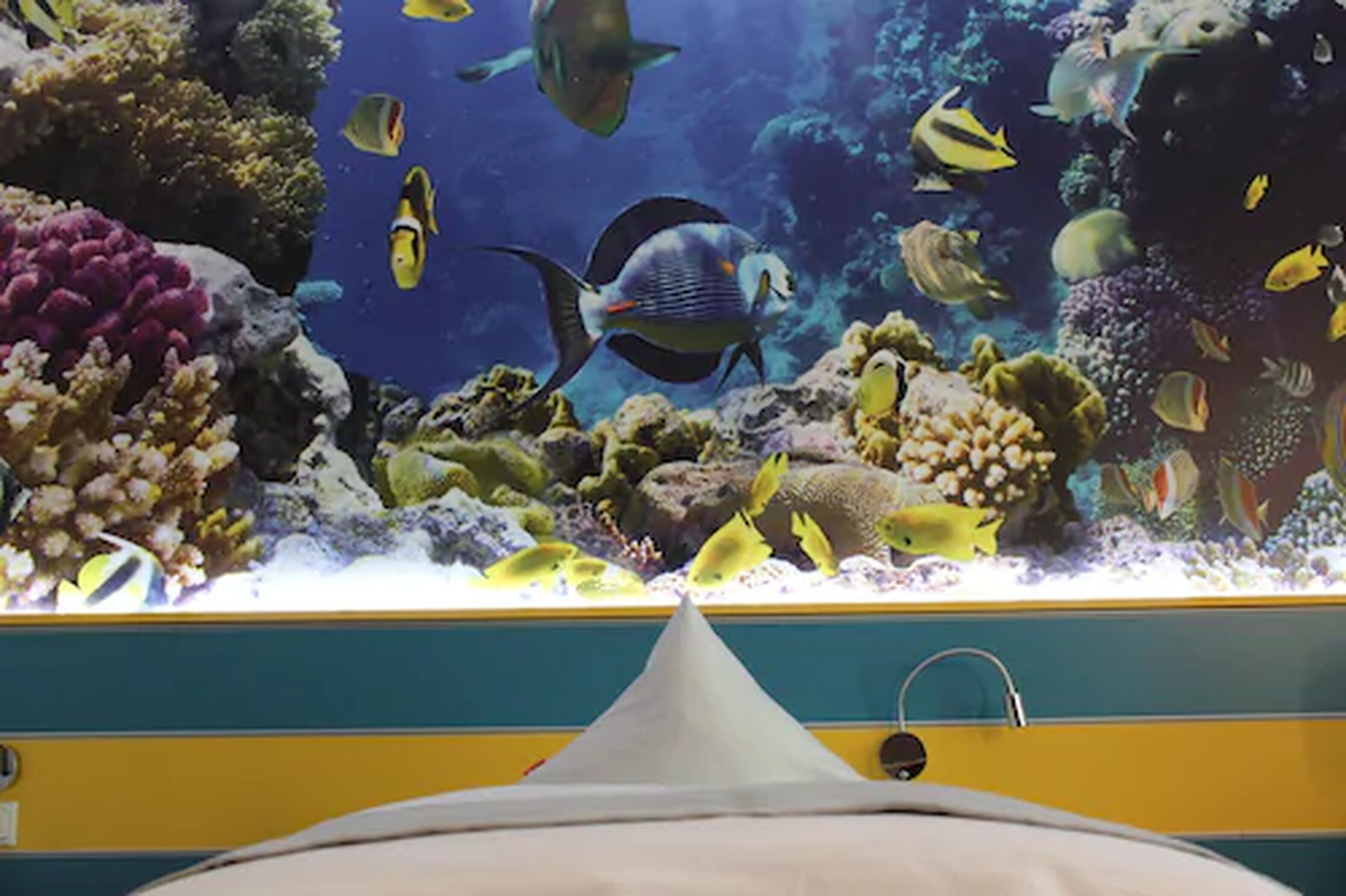 1 bedroom, hypo-allergenic bedding, desk, laptop workspace