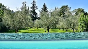 Una piscina con un muro de piedra y árboles al fondo.