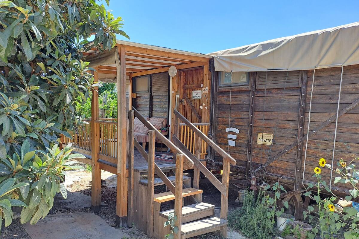 Eine Holzhütte mit überdachter Veranda und einer Treppe zu einer Terrasse.