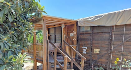 Galilee Bedouin Camplodge