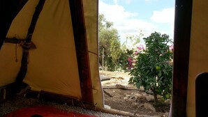 Tenda | Pemandangan dari kamar