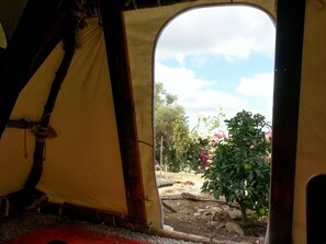 Tent | View from room