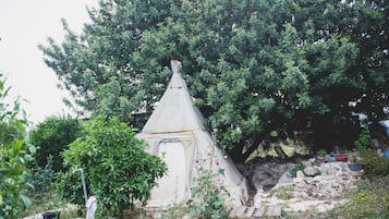 Tent | Free WiFi