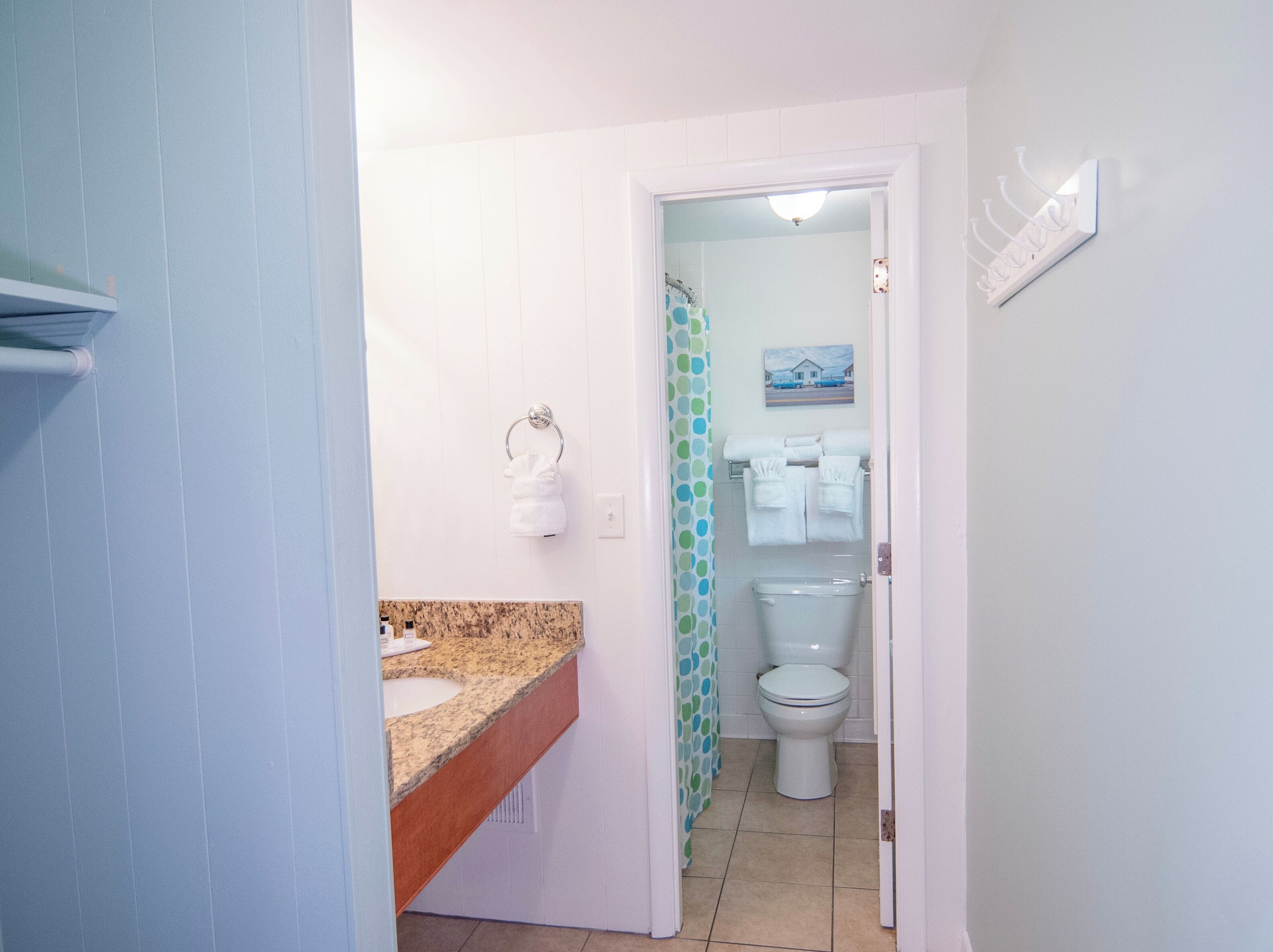 Een badkamer met een granieten aanrechtblad, toilet en een douchegordijn met stippen.