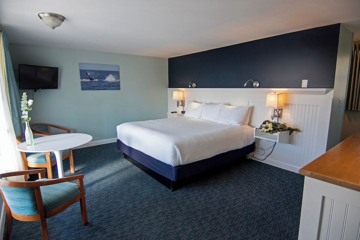 A bedroom with a bed, bedside tables, a TV, and a window with curtains.