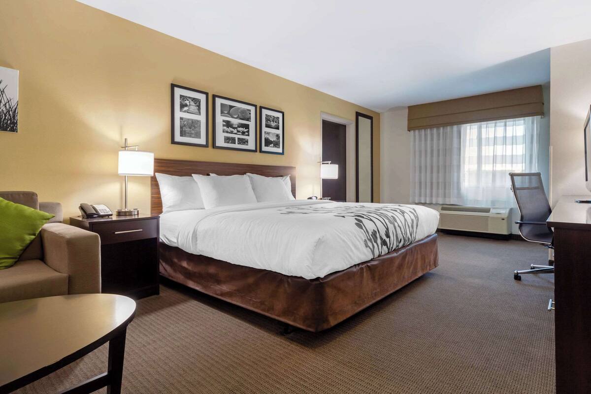 A hotel room with a large bed, a desk, a chair, a lamp, and a window with curtains.