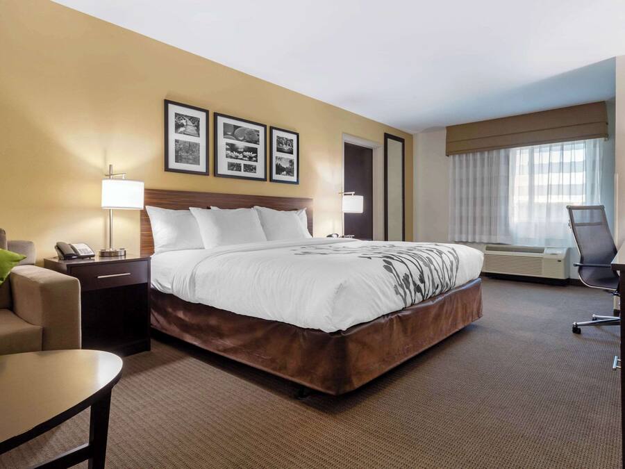 Suite, 1 King Bed with Sofa bed, Accessible, Non Smoking