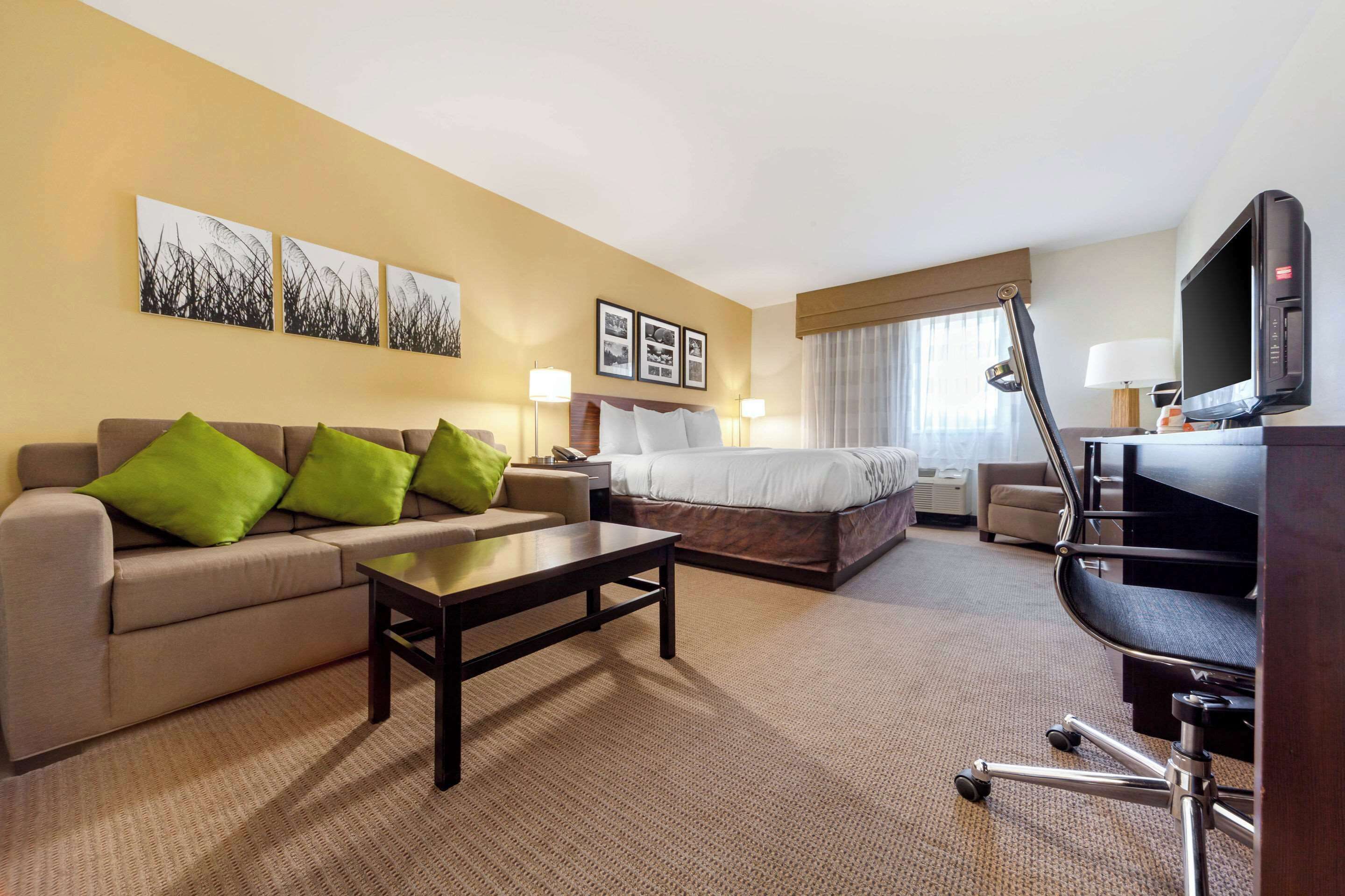 加厚床垫、办公桌、熨斗/熨衣板、免费 WiFi