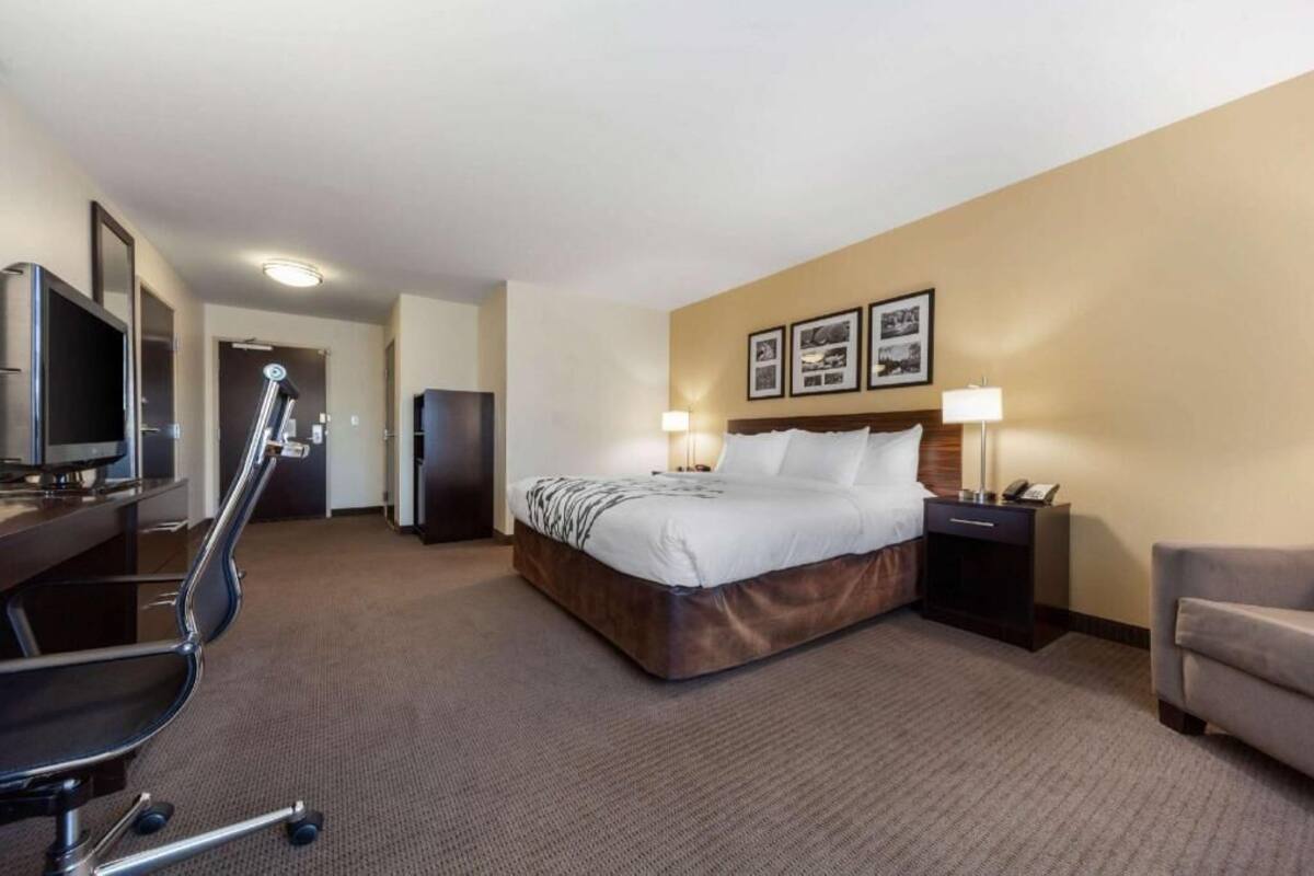 A hotel room with a bed, a desk with a chair, a television, a desk lamp, and a nightstand with a lamp.