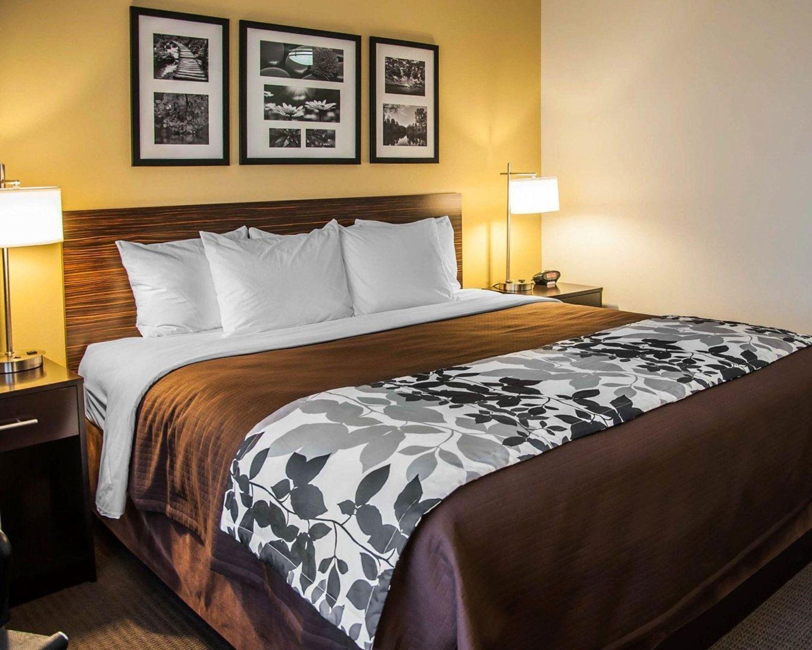 Pillowtop beds, desk, iron/ironing board, free WiFi