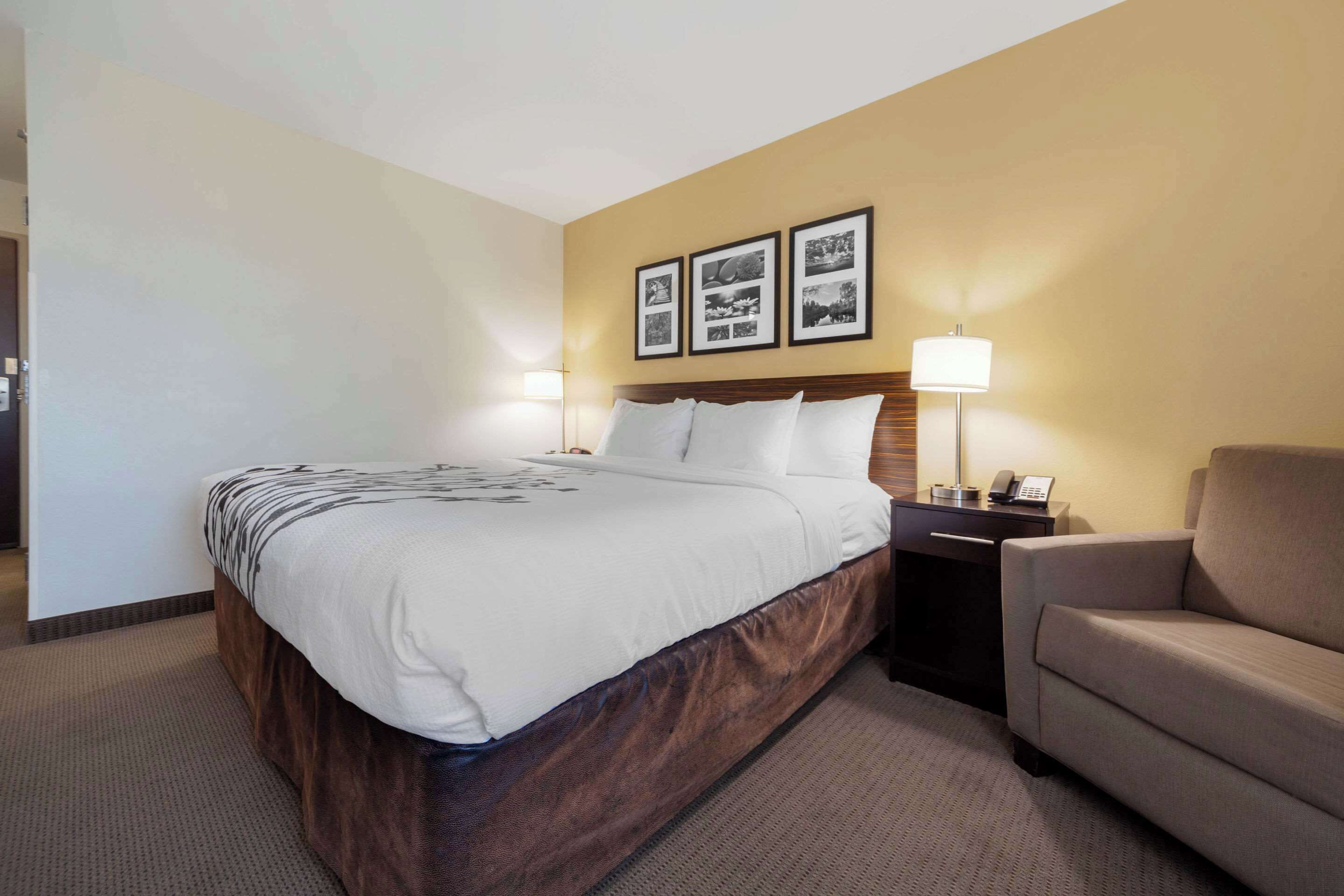 A hotel room with a large bed, a nightstand with a lamp, a sofa, and three framed pictures on the wall.