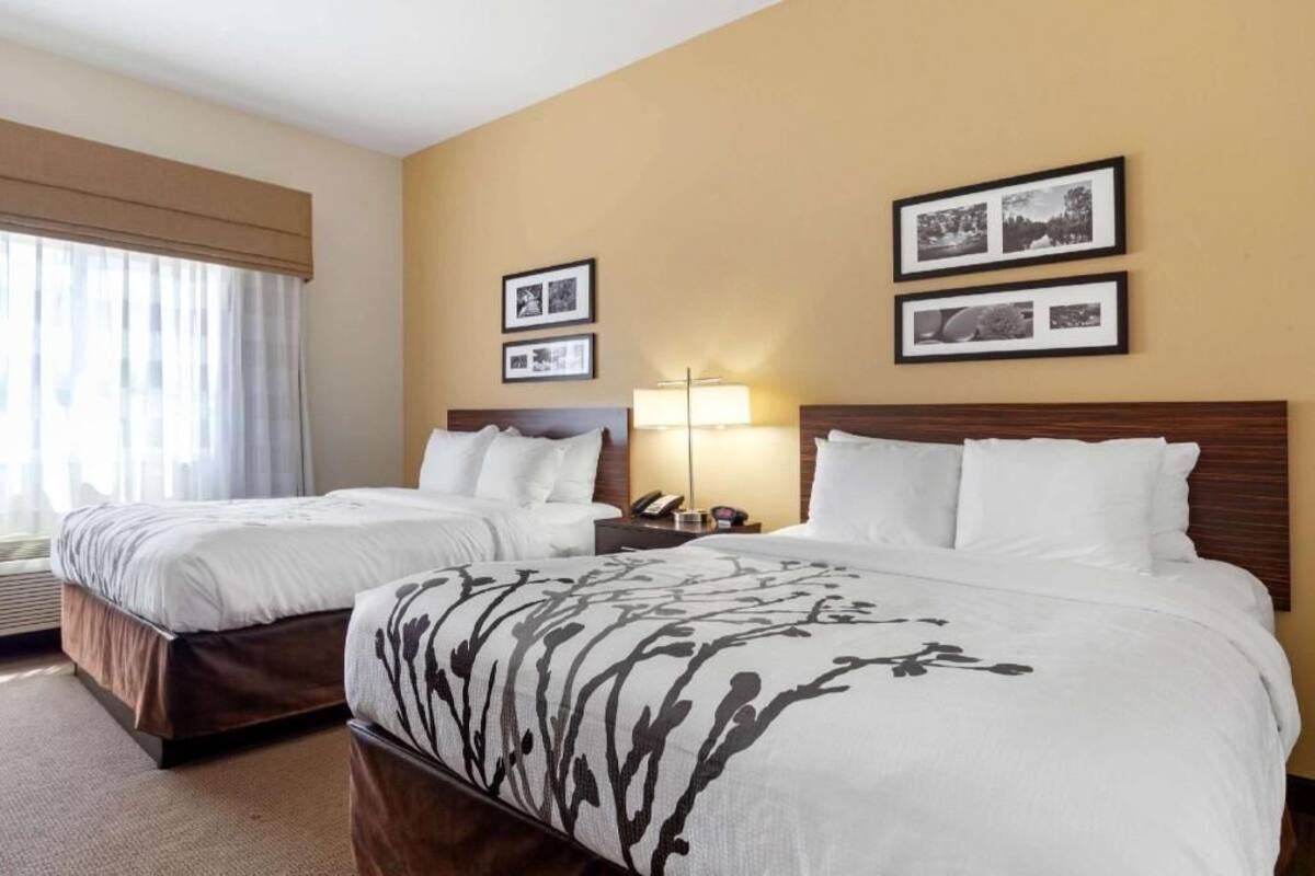 A hotel room with two beds, a bedside table with a lamp, and framed pictures on the wall.