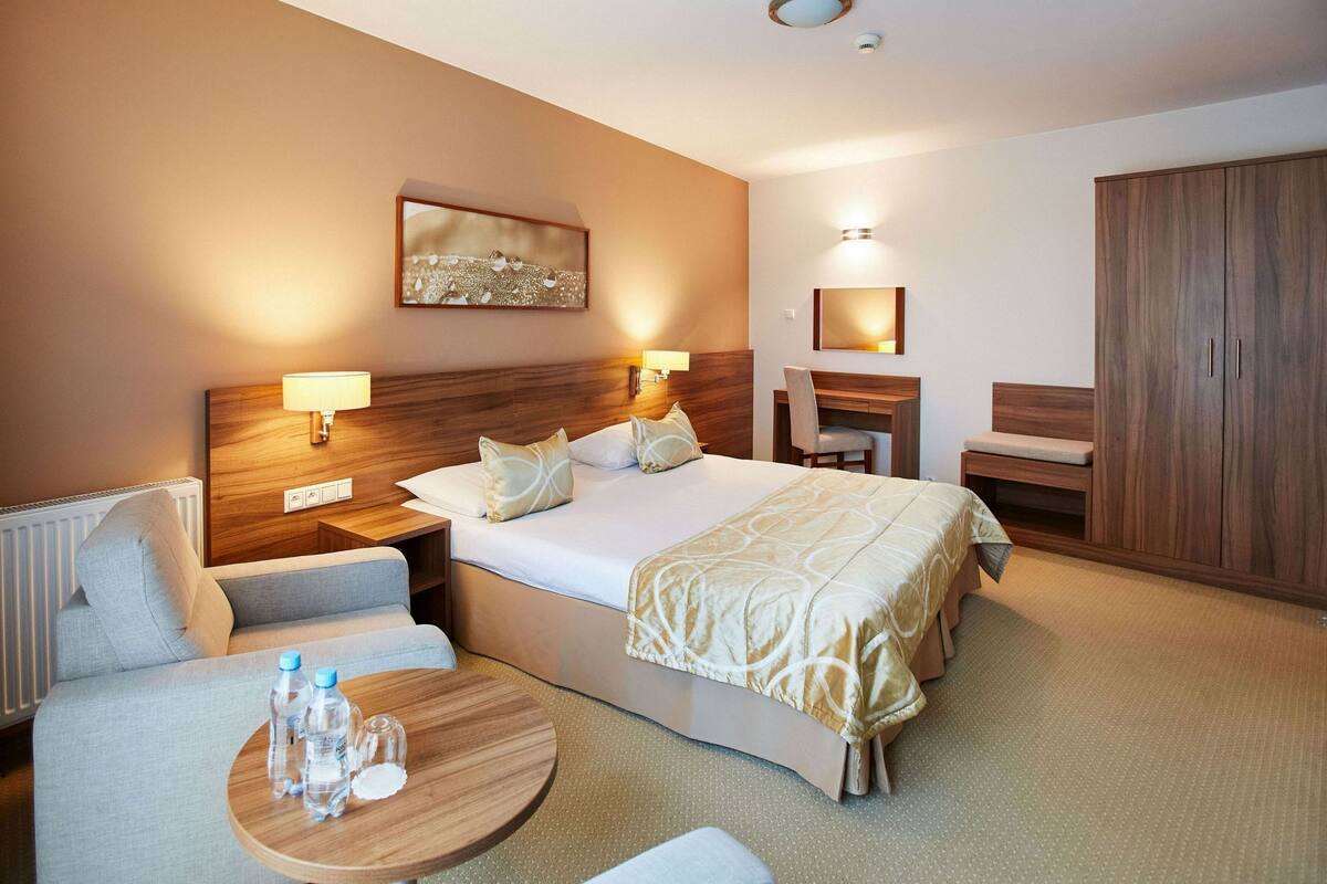 Business Double Room | Desk, iron/ironing board (on request), cribs (surcharge)