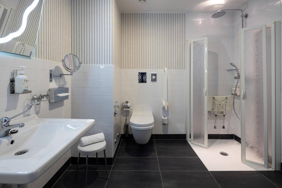 standard room, 1 queen bed, accessible, non smoking | bathroom | combined shower/bathtub, free toiletries, hair dryer, bathrobes