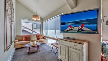 電視、DVD 播放機