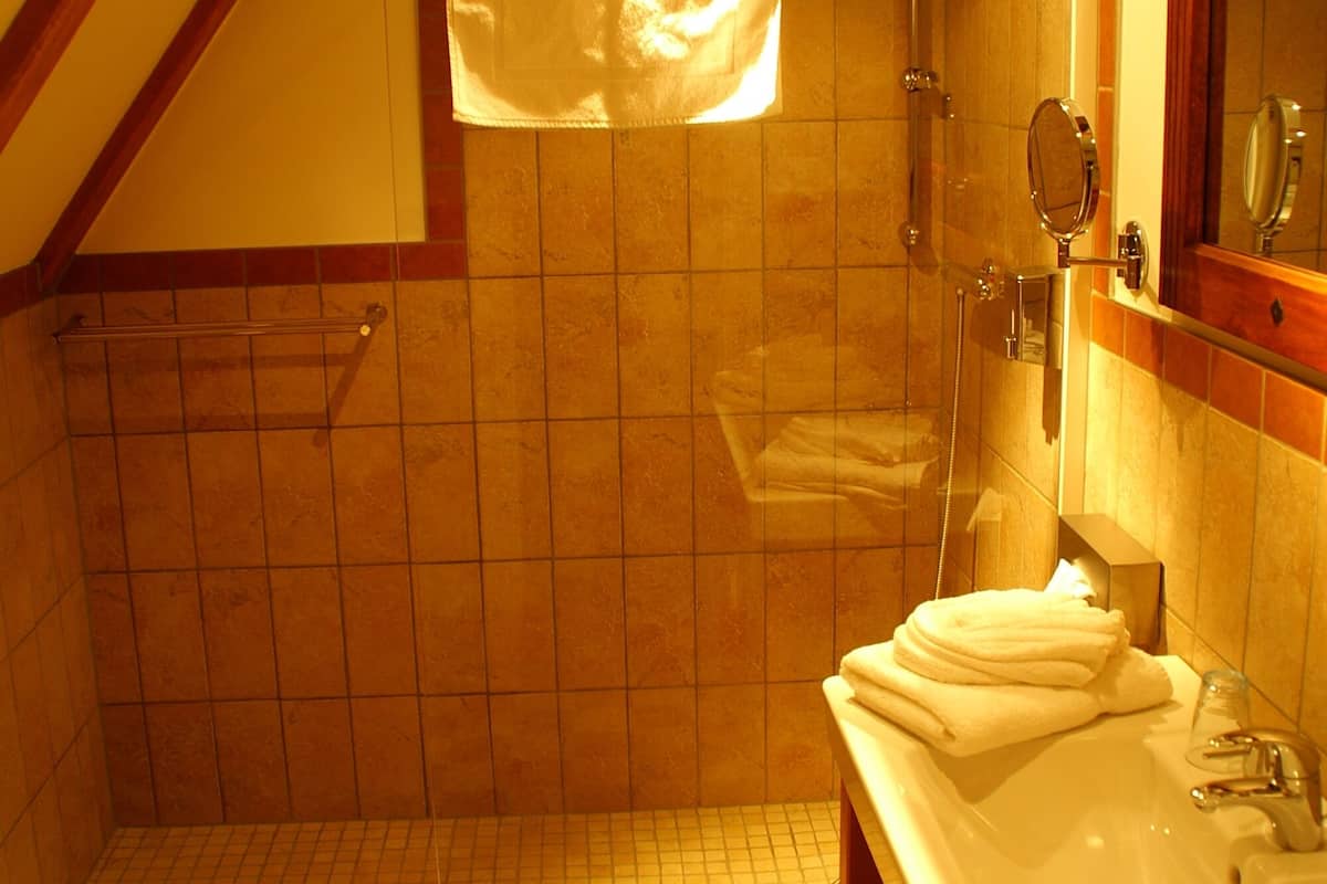 comfort double room | bathroom | shower, hair dryer, towels, soap