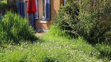 A house with a garden path leading to a door, surrounded by greenery and white flowers.