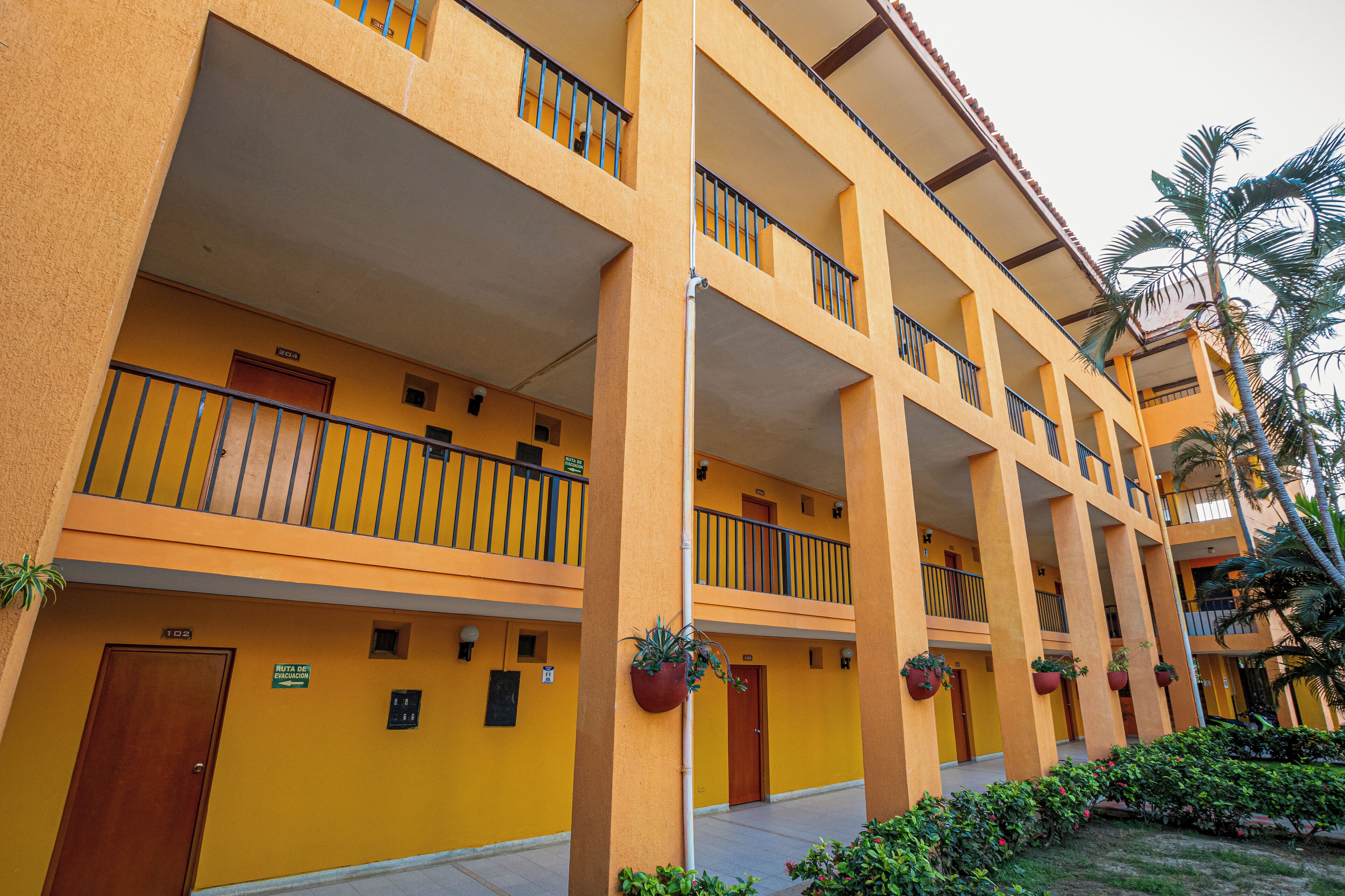 Foto - Hotel Palmarena Plaza