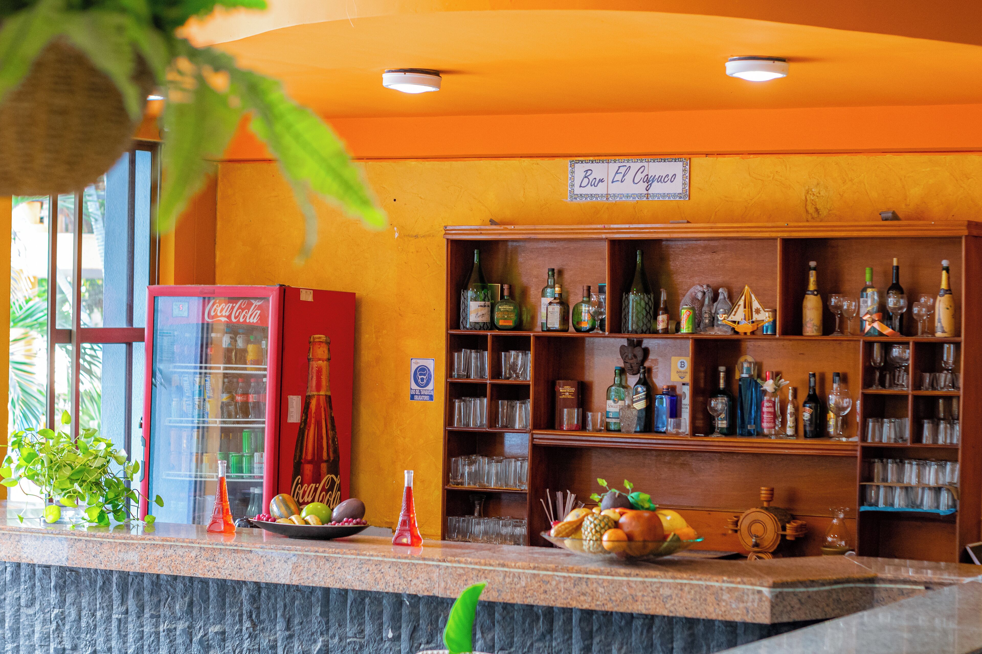 Foto - Hotel Palmarena Plaza