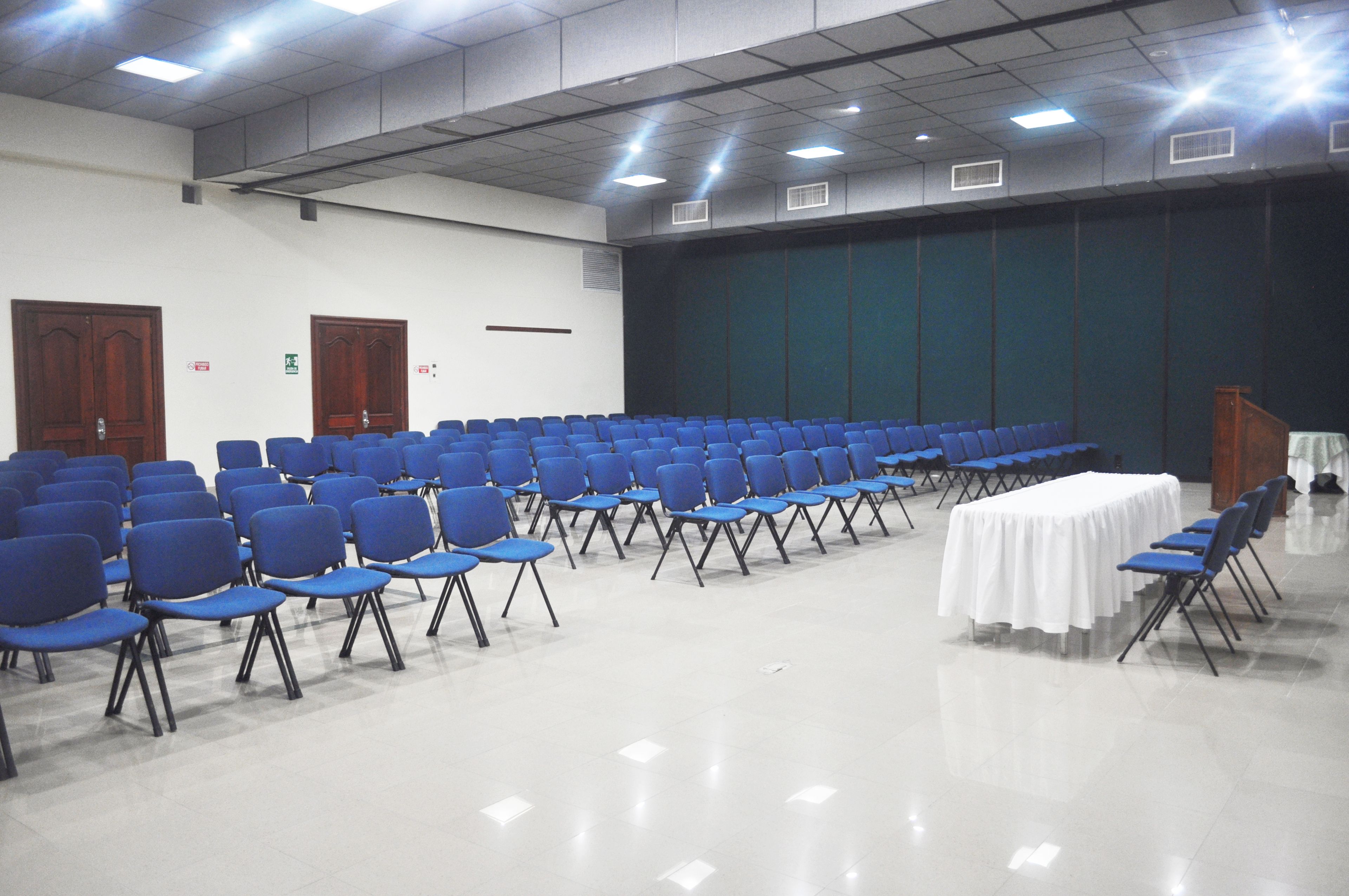 Foto - Hotel Palmarena Plaza