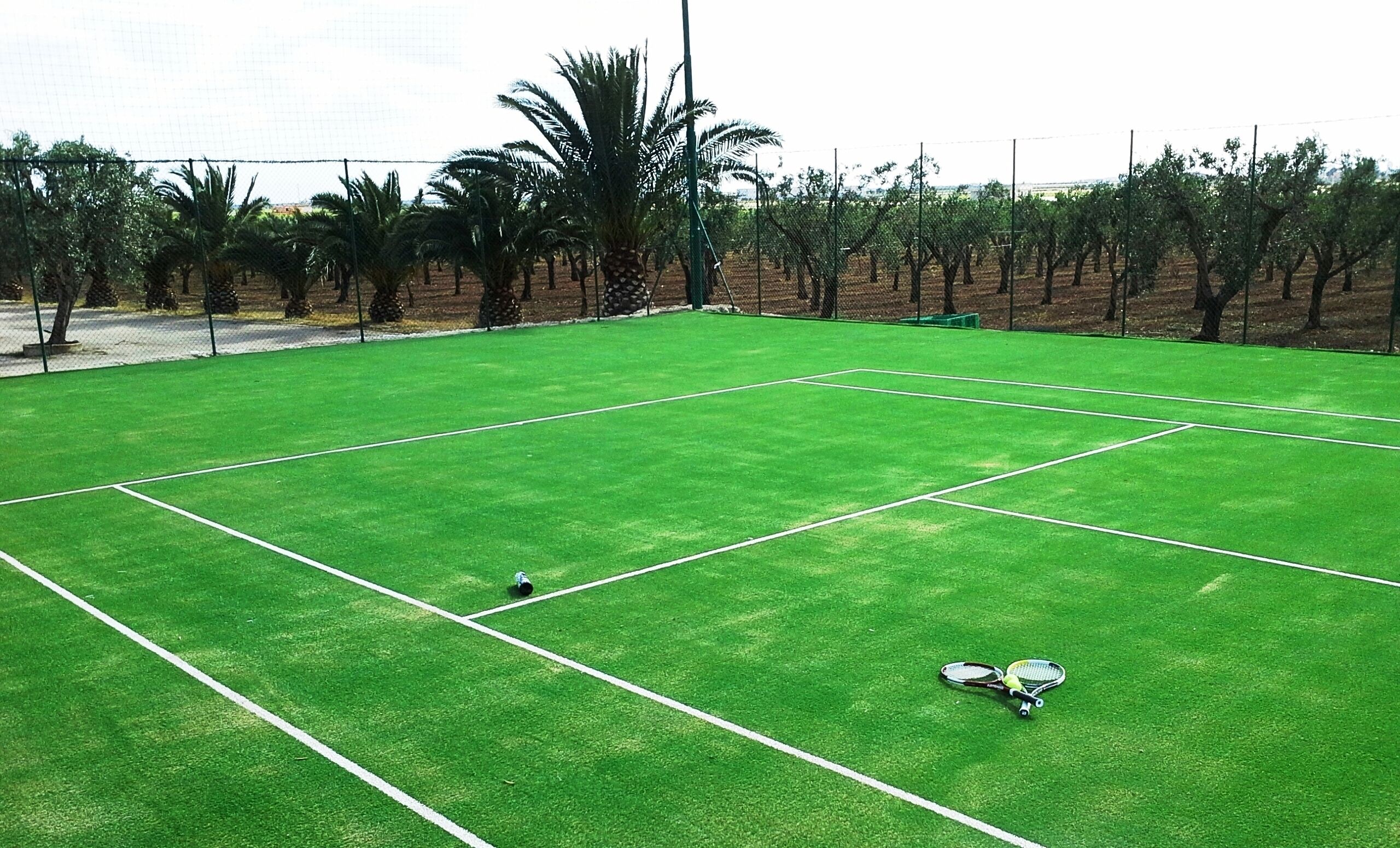 Una cancha de tenis con una red, rodeada por una cerca y palmeras.