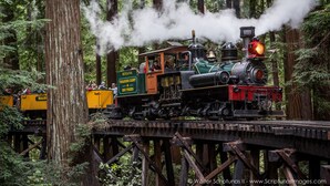 Une locomotive à vapeur sur un pont, entourée de grands arbres.