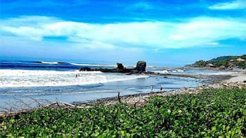On the beach, surfing