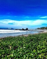 En la playa, surf