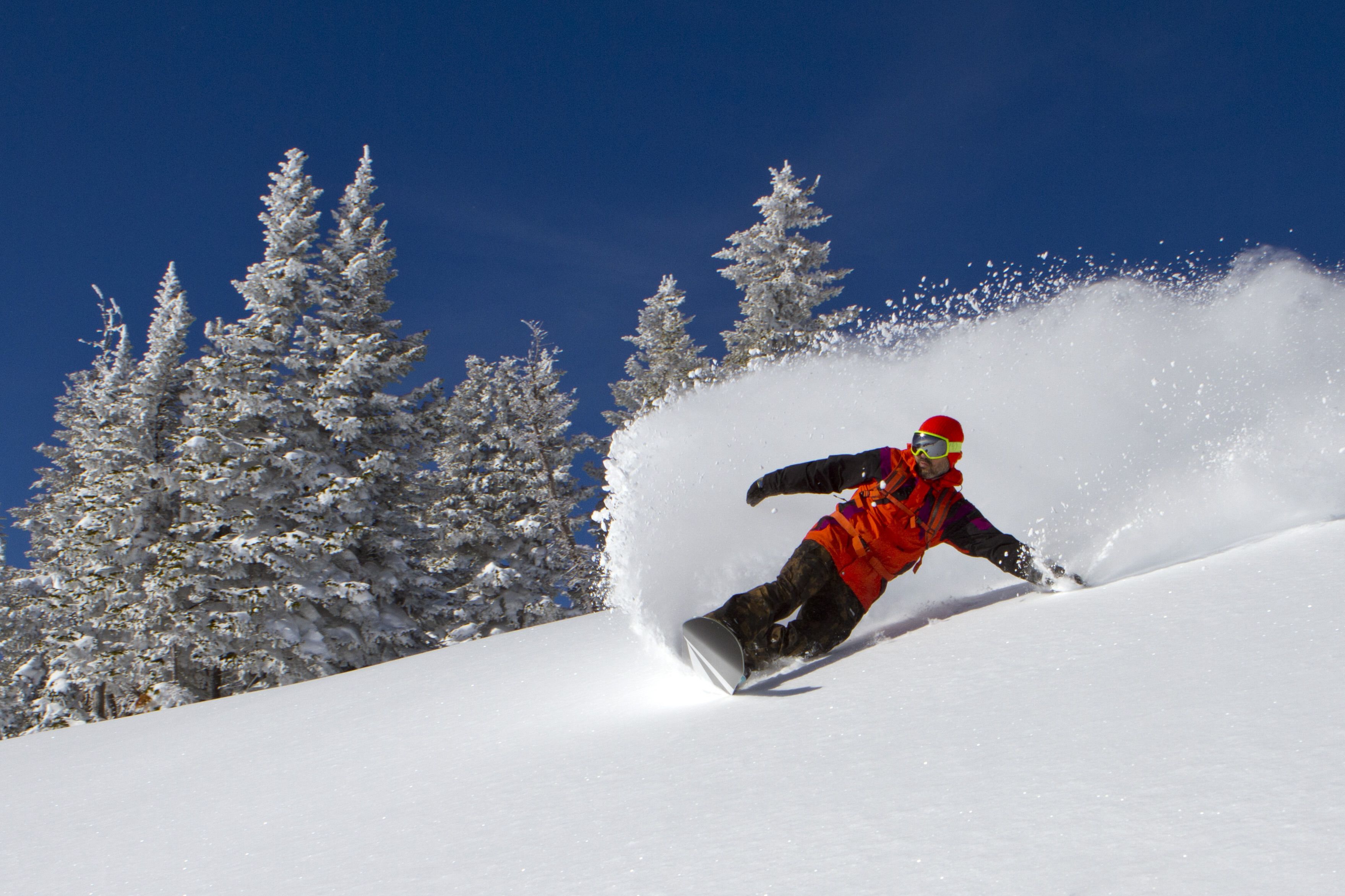 A snowboarder in motion on a snowy slope with snow-covered trees in the background.