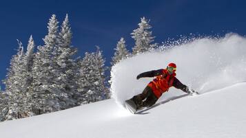 A snowboarder in motion on a snowy slope with snow-covered trees in the background.