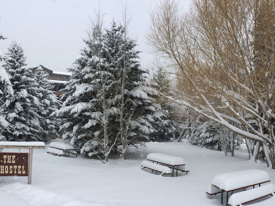 A snow-covered outdoor area with a sign for "The Hostel," benches, and snow-laden trees.