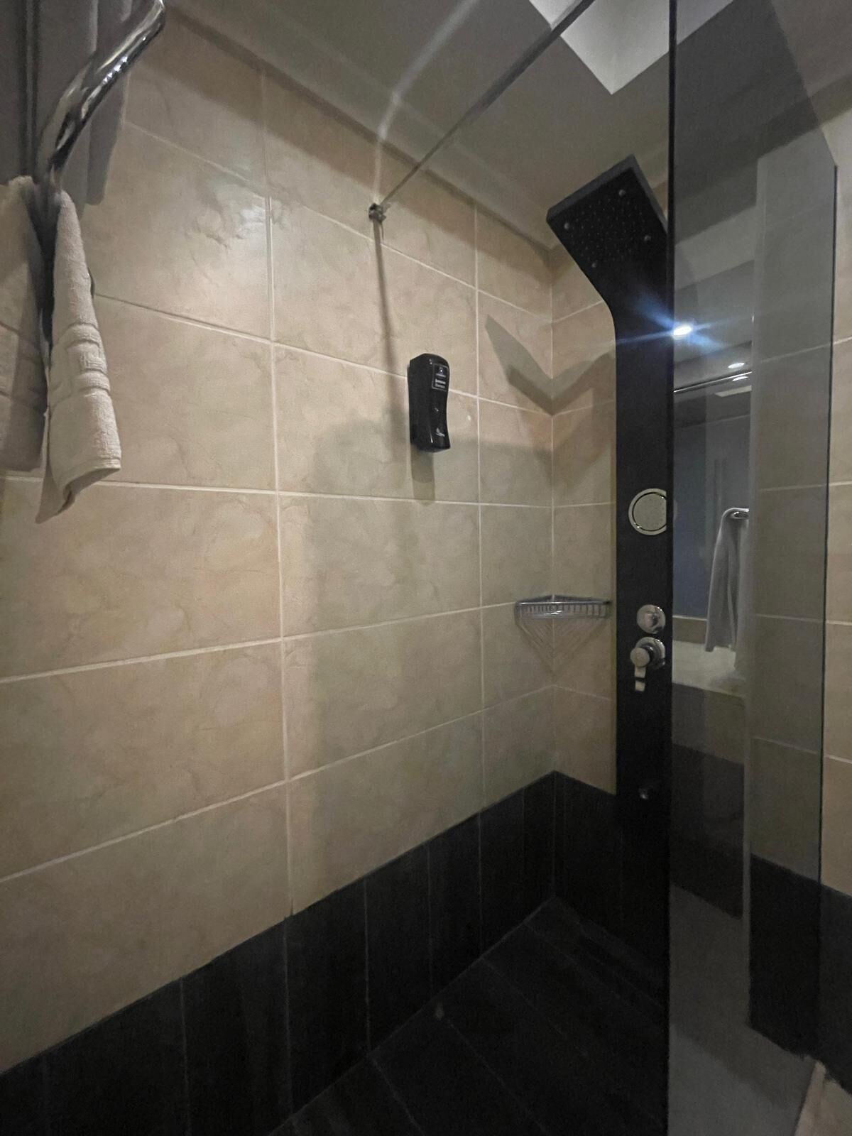 A modern bathroom with a glass shower enclosure, a towel rack, and a soap dispenser on the wall.