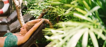 더 오피엄 치앙 마이