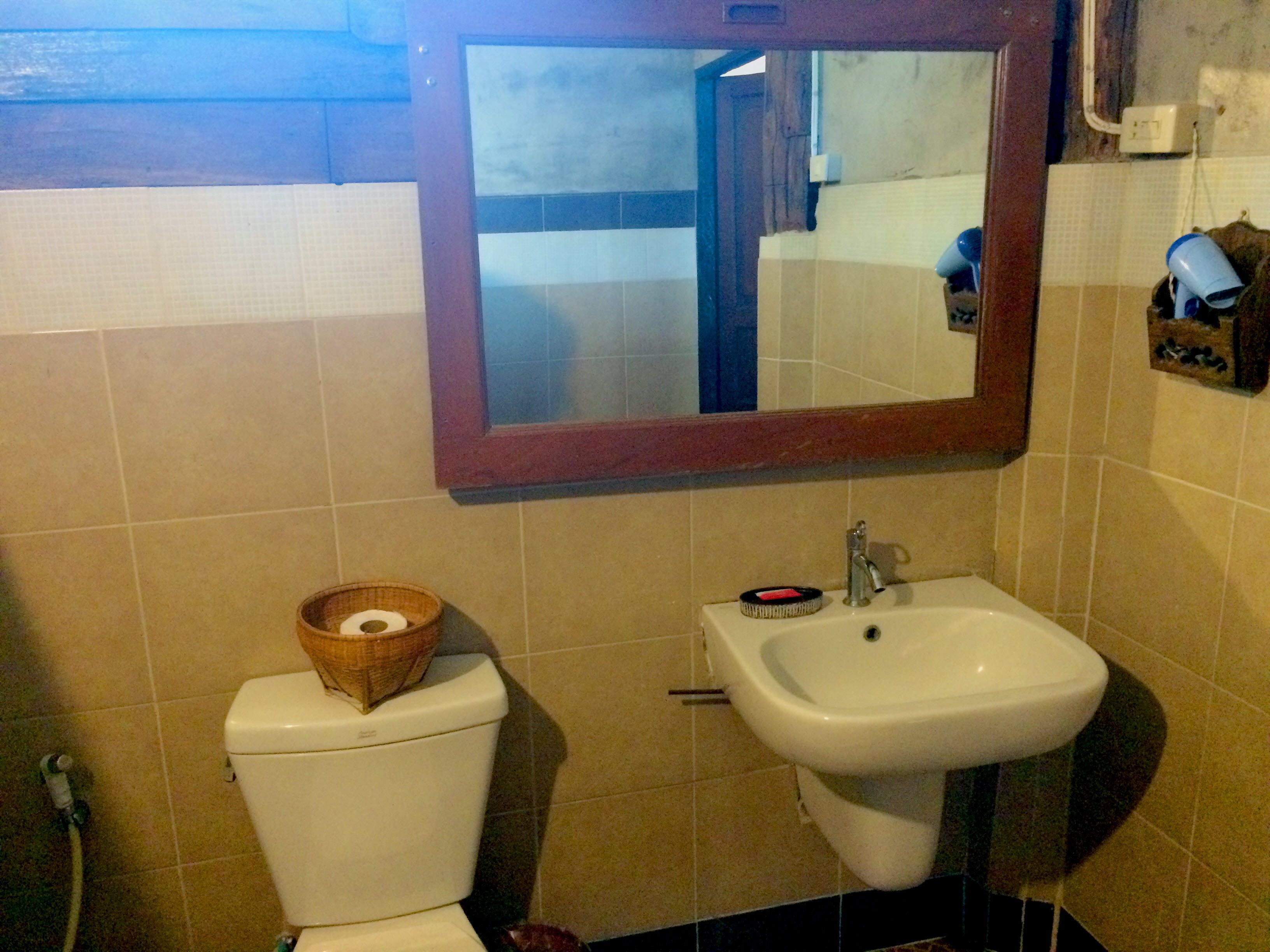 A bathroom with a toilet, sink, and mirror.