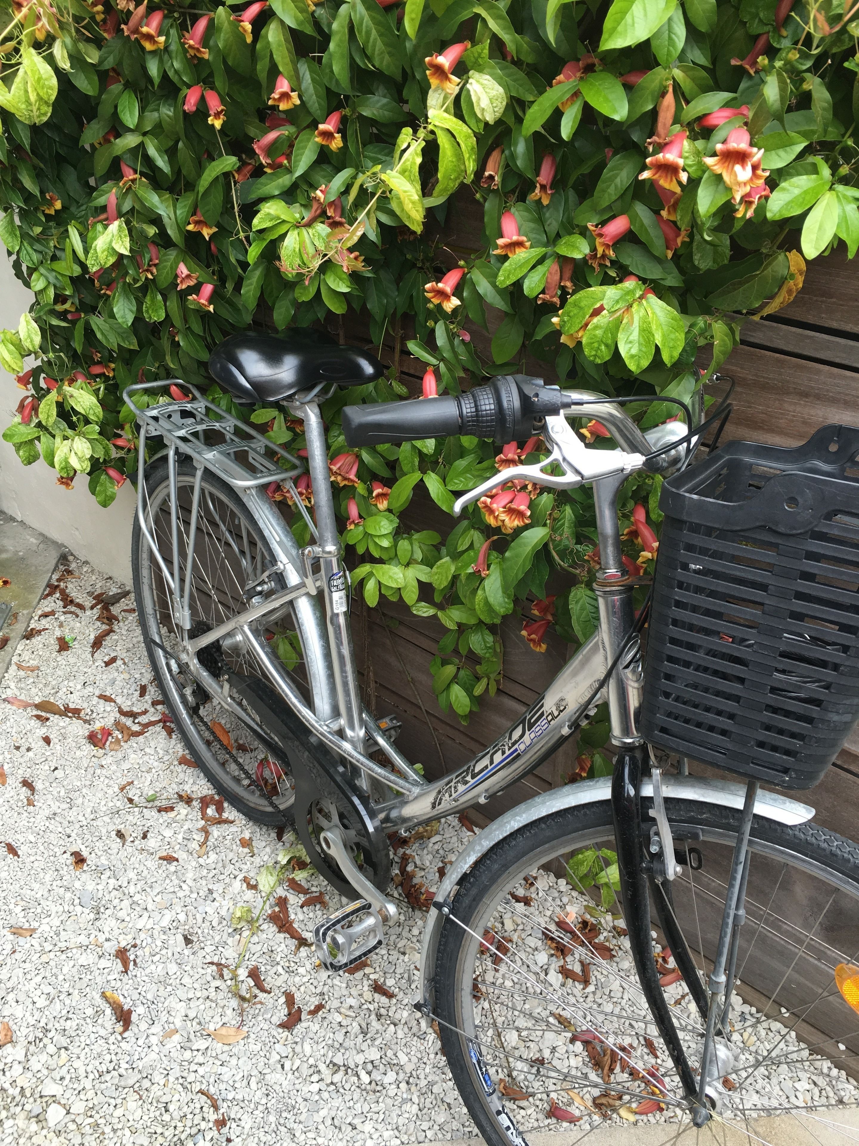A bicycle parked on a gravel surface with a basket attached to the front and a seat.