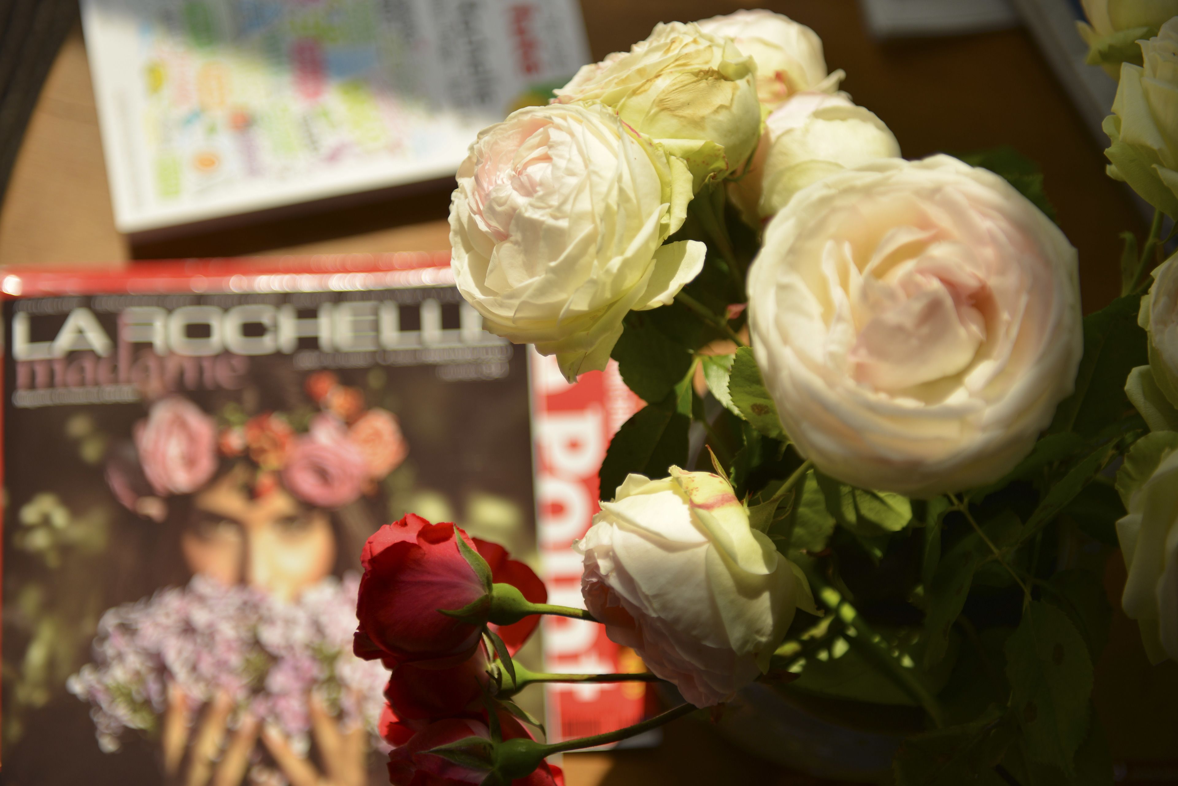 Foto - Accostage Hôtel Plage de la Concurrence