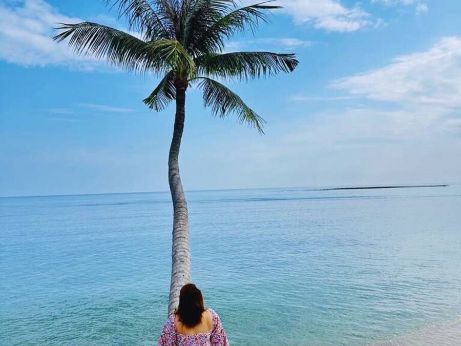 Eine Frau sitzt auf einer sechseckigen Steinterrasse und blickt auf ein ruhiges Meer, im Hintergrund steht eine hohe Palmenbaum.
