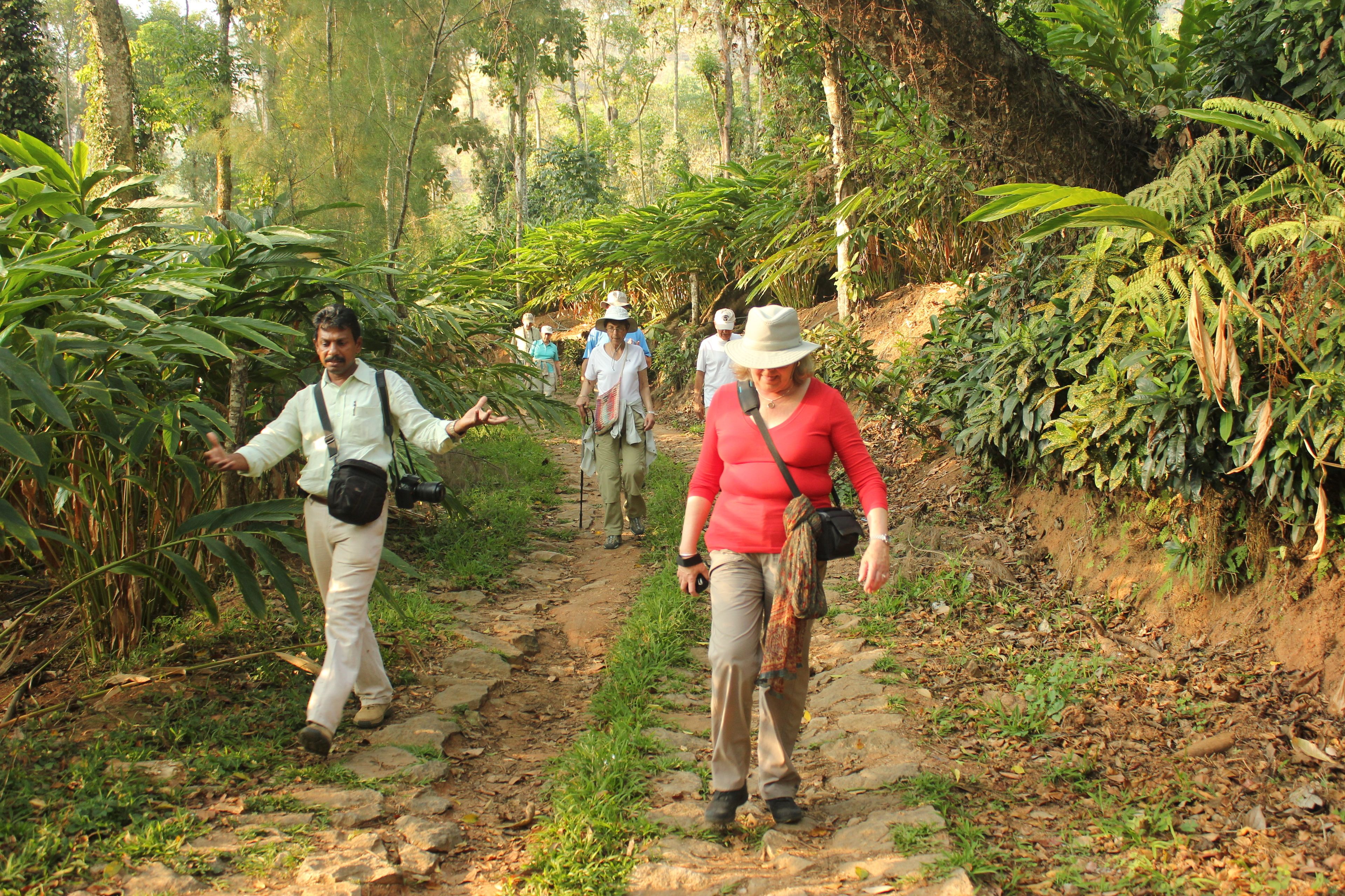 A group of people walking on a stone path in a forested area.